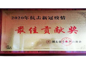 2020年湖北省文化產(chǎn)業(yè)商會 2020抗擊新冠疫情最具貢獻(xiàn)獎